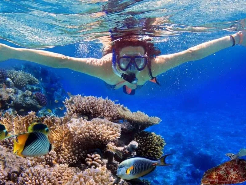 Когда лучше отдыхать во Вьетнаме: погода, сезоны и советы по месяцам